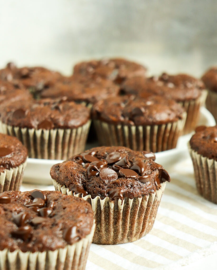 chocolate zucchini muffins with chocolate chips on top