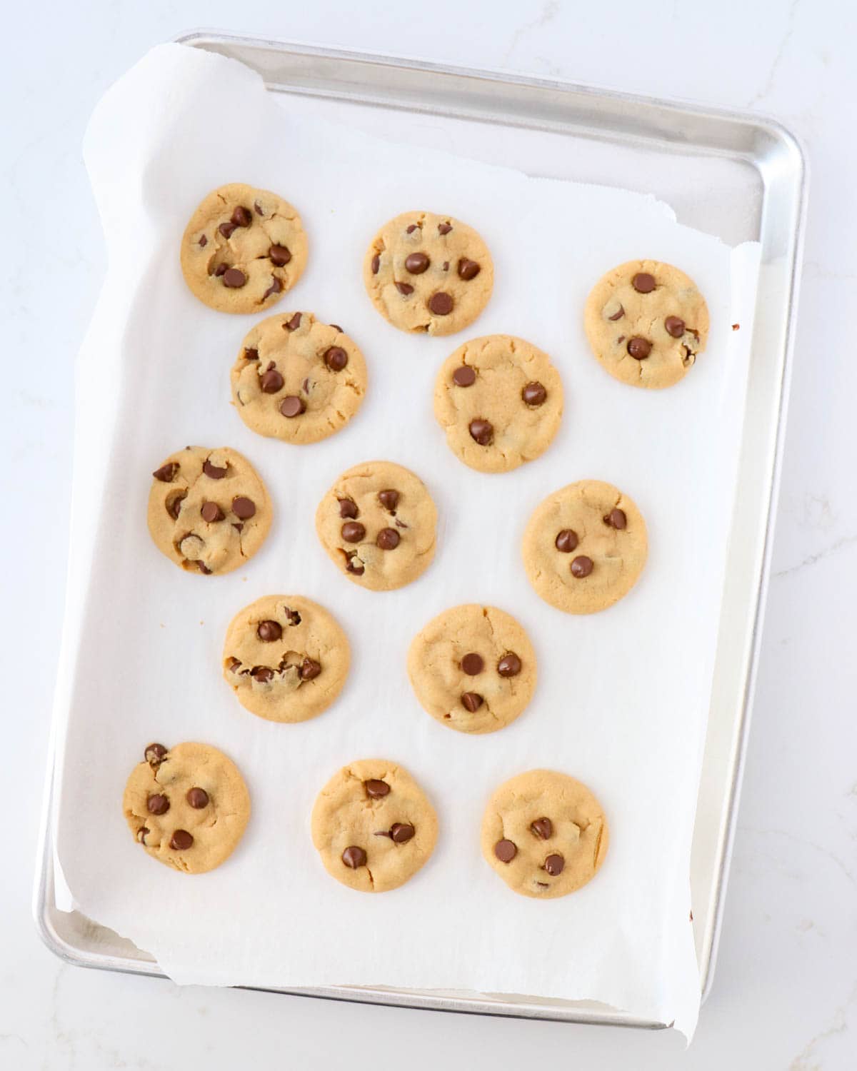Baked cookies topped with chocolate chips on a baking pan.
