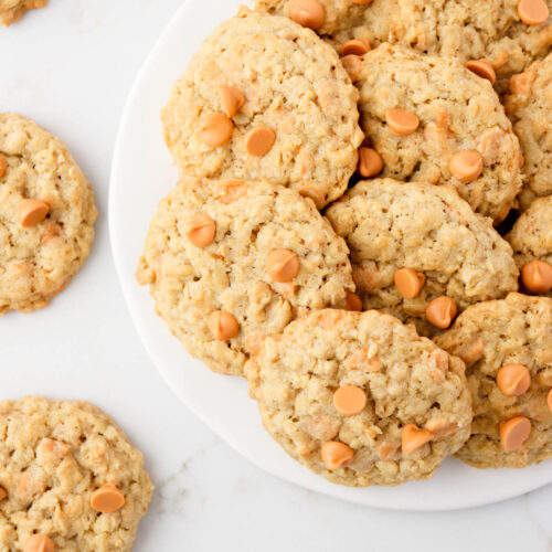 Oatmeal cookies with butterscotch chips on a white plate.