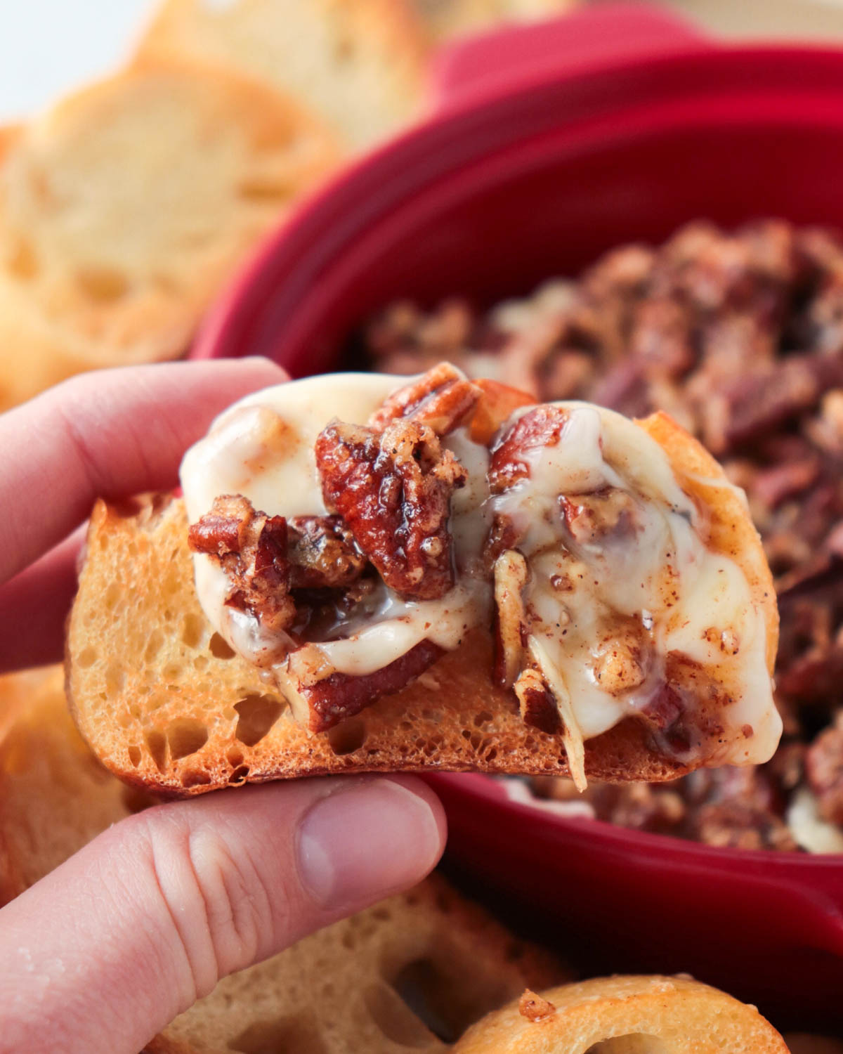Baked brie with pecans on a slice of toasted baguette.