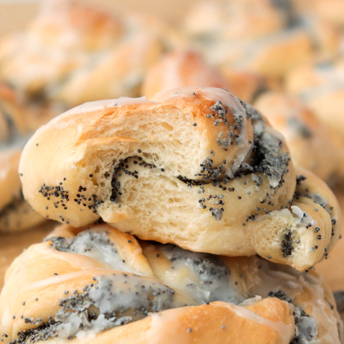 Interior of poppy seed bun.